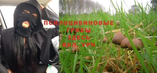 spice Горняк