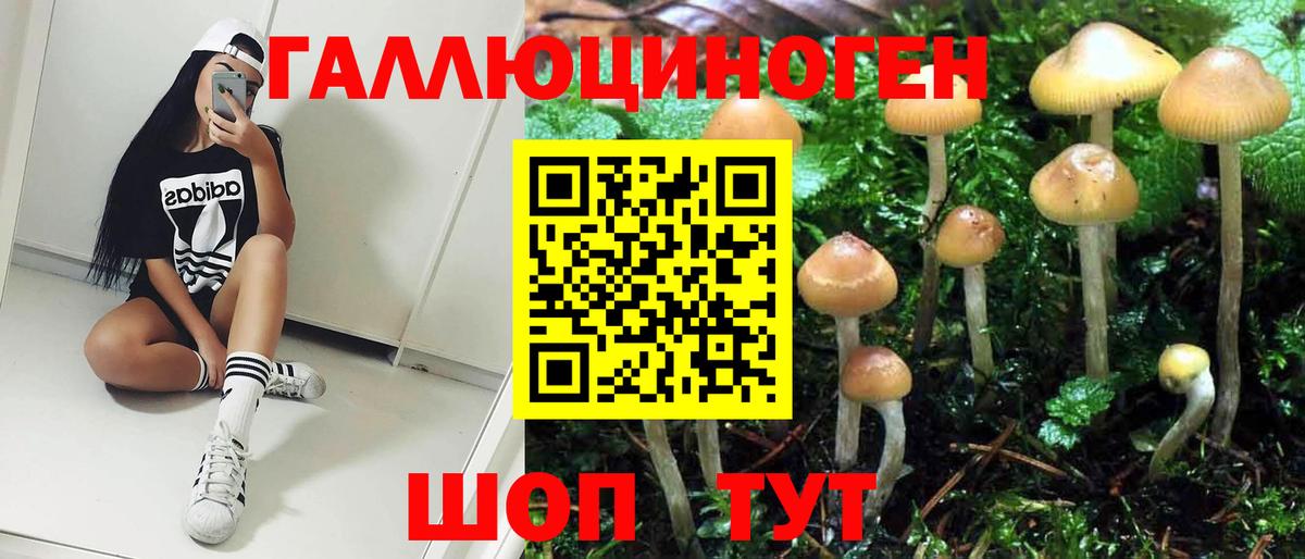 Псилоцибиновые грибы MAGIC MUSHROOMS  Вход с VPN  Псилоцибиновые грибы GOLDEN TEACHER  Заринск 